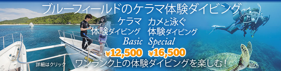 �u���[�t�B�[���h�̃P���}�̌��_�C�r���O�@�P���}�̌��_�C�r���OBasic ��12,500�@�J���Ɖj���̌��_�C�r���OSpecial ��16,500�@���������N��̑̌��_�C�r���O���y����!�@�ڍׂ̓N���b�N