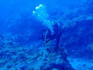 081030n 沖縄 慶良間ダイビング