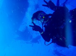 沖縄　ジンベイザメダイビング