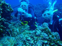 沖縄ダイビング　ウミガメ　慶良間