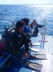沖縄本島近海ダイビング