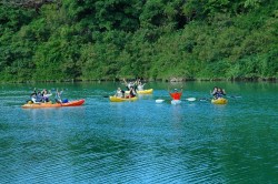 比謝川カヤック 沖縄 マングローブカヤック