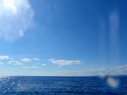 沖縄ダイビング　晴天の沖縄の海