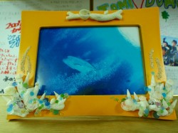 沖縄ダイビング　ブルーフィールド