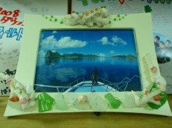 沖縄ダイビング　ブルーフィールド