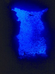 081213a 沖縄ダイビング ドリームホール 恩納村