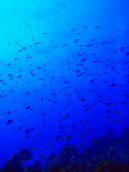 写真では伝わりにくいこの絶景♪