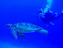 ナガンヌ南 今年ラストはカメとランデブー♪