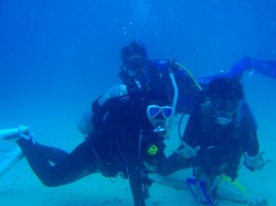 沖縄ダイビング　沖縄本島北部　崎本部　ゴリラチョップ