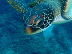 昨日は見れなかったチームでしたが、今日は違いました！！