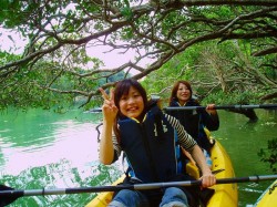 これぞ醍醐味！！マングローブの間をくぐり抜けます♪余裕のピース・・・しかし、その後は！？