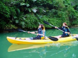 だんだん息の合ってきたお二人♪時たま、マングローブにつっ込んでいましたが・・・