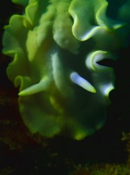 ちょっと暗くなりずぎたー(汗)