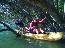 これぞジャングルツアーです。太陽も出て暖かい♪