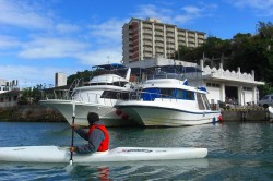 この角度のスウィフトがカッコイイ♪