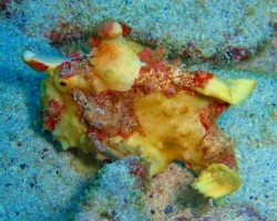 このコとは、僕自身初対面♪感動！！カ〇ノさん、キ〇ラさん、前回はすいませんでしたー！！