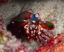 綺麗にとれていますね～。僕も負けていられません！！