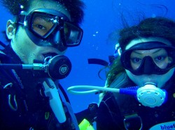 慶良間体験ダイビング 慶良間 体験 ダイビング