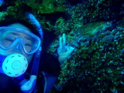 念願のツーショット♪アオウミガメとタイマイに違いがわかりましたか～？