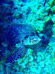 同じ所に3匹居てくれました♪