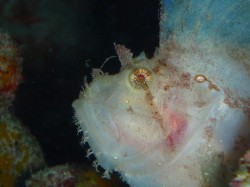 090210n-e381afe381a0e3818be381afe3818ae38193e3819c