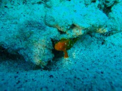 090210n-e381b5e38293e381a3efbc81