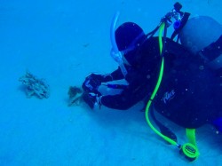 090210n-e692aee5bdb1e4b8ad