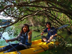 マングローブ探検!! 慣れてきたので、こんな所にも挑戦です♪