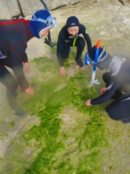 090227n-e38182e383bce38195e69198e381bfefbc9f