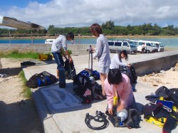 090227ne382bbe38383e38386e382a3e383b3e382b0