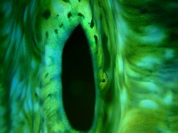 080727n-18 さて これは何でしょう?