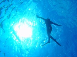 太陽が綺麗でした！！