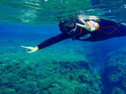 後ろの岩場にはサンゴが盛り盛り生えてます♪