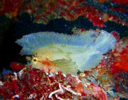 昨日はピンクで、今日は白♪次回は何色がいいかなぁ～？？？