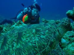 090510n-e3818be38281