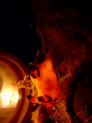 090518n-e38394e382ab1