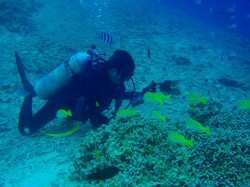 090518n-e692aee5bdb1