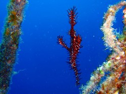 090518nefbc88e3838be382b7e382adefbc89