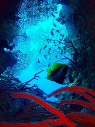 この小さな穴が、とっても綺麗♪不思議な空間が広がっていました。