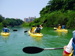 自然が豊かな比謝川には