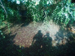 ここの奥から湧き出ているのです。