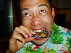 ん！？これはなんだ？