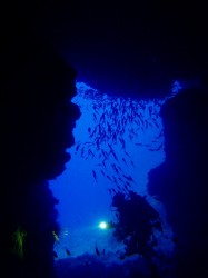 出口にてライト片手にガイド中♪