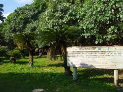 ちょっと寄り道です。ここは天然記念物の川なのです！！