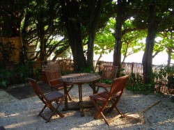 庭はこんな感じ♪