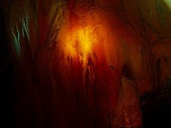 ちなみにこれは水中です。透明度が良すぎて、ハレーションは一切おきません！！