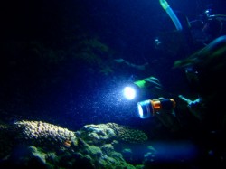 生むまで順番に観察です。