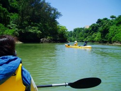 比謝川カヤック 比謝川カヤック