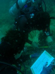 武富＆米本チーム