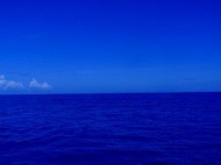 七夕、晴天、青い海